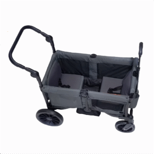 inside stroller wagon